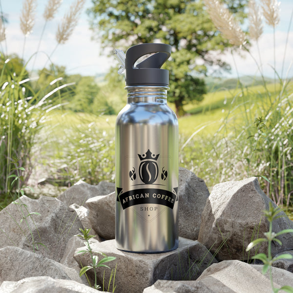 Stainless Steel Water Bottle With Straw, 20oz